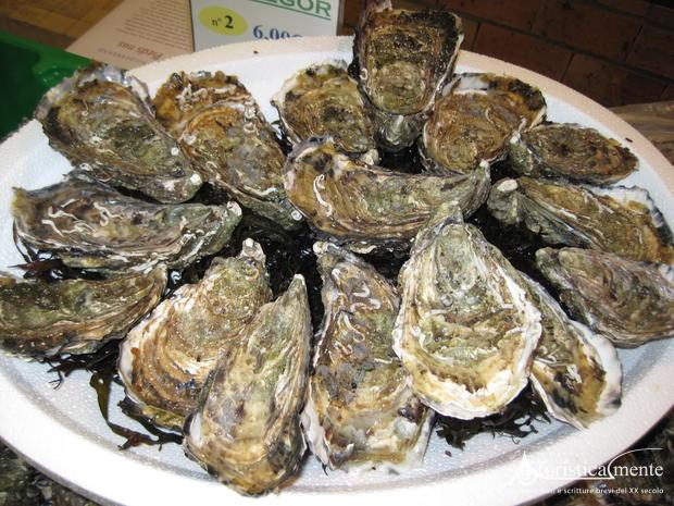 ostriche_huitres_oysters
