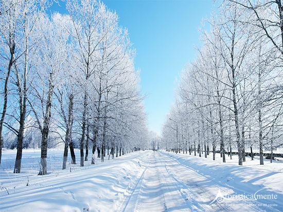 Frasi, citazioni e aforismi sullinverno aforisticamente ... Immagini invernali belle