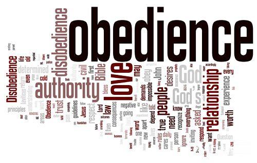 obbedienza