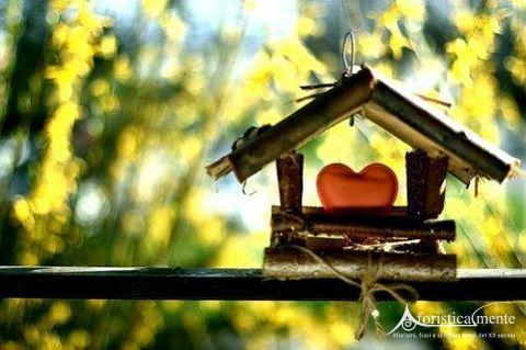 Frasi, citazioni e aforismi sulla casa aforisticamente aforisticamente Casa nuova cosa comprare