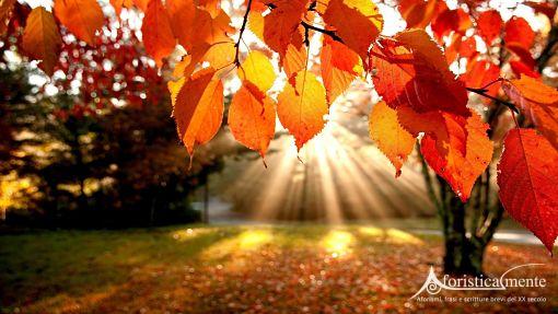 Frases y citas sobre el otoño - Aforisticamente