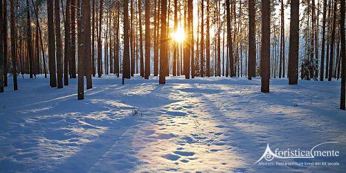 Frases y citas sobre el invierno - Aforisticamente
