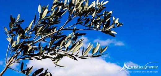 Buona Domenica delle Palme, Frasi e citazioni per gli auguri ...