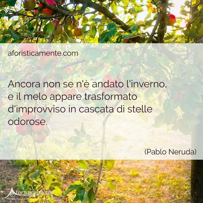 Frasi sulla primavera Pablo Neruda