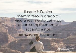 Frasi, Citazioni E Aforismi Sui Cani - Aforisticamente