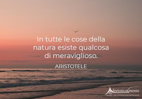 Frasi Citazioni E Aforismi Sulla Natura Aforisticamente