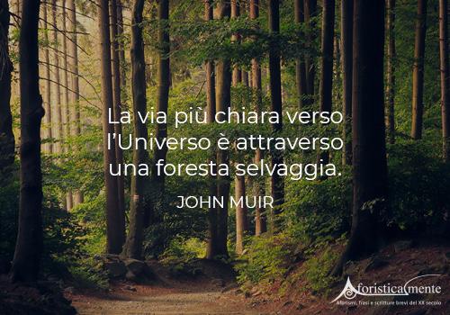 Frasi Citazioni E Aforismi Sulla Natura Aforisticamente