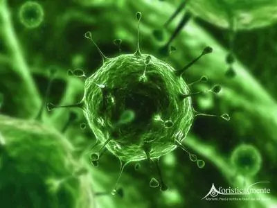 virus-1