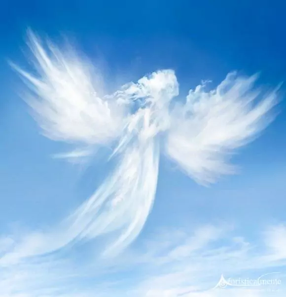 angeli_angels