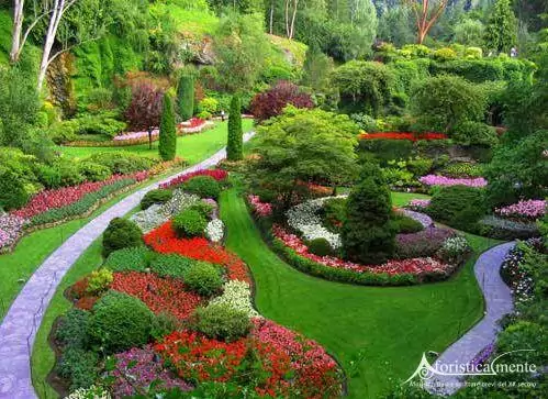 giardino_garden
