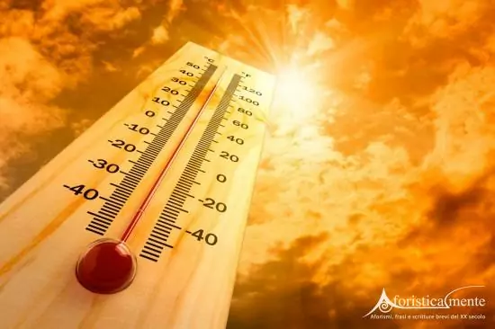 caldo
