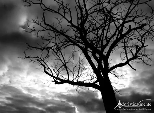suicidio_suicide