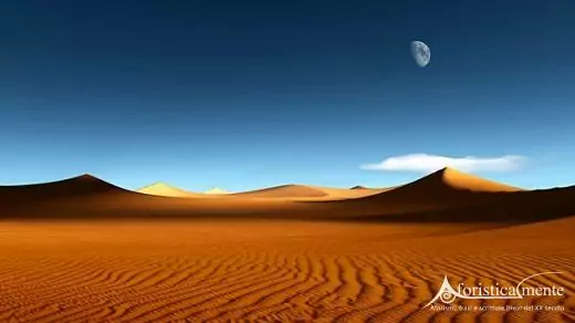 deserto