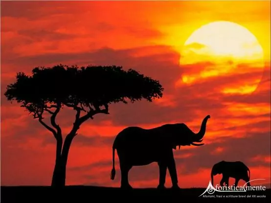 Proverbi africani