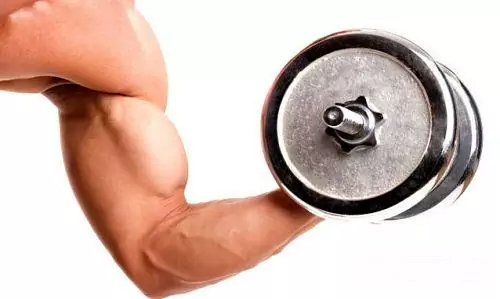 Muscoli