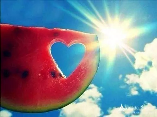 Buon Ferragosto