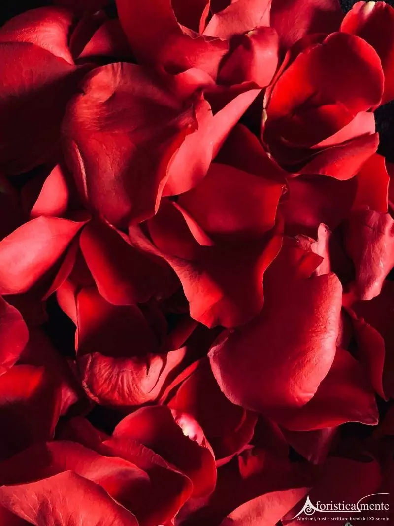 Amore Passionale - Aforisticamente