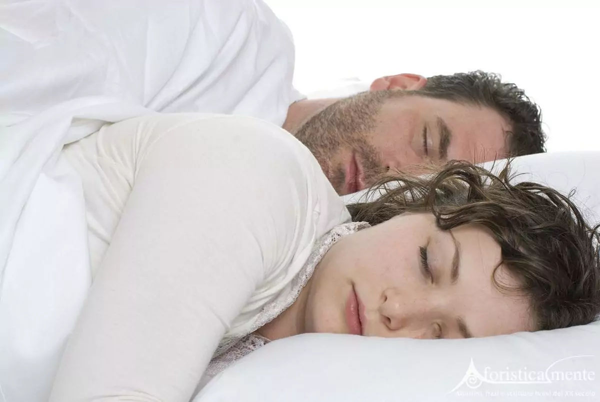 Dormire insieme - Aforisticamente