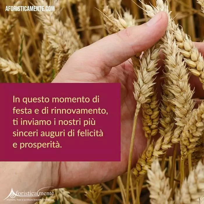 Frasi di auguri per il nuovo anno