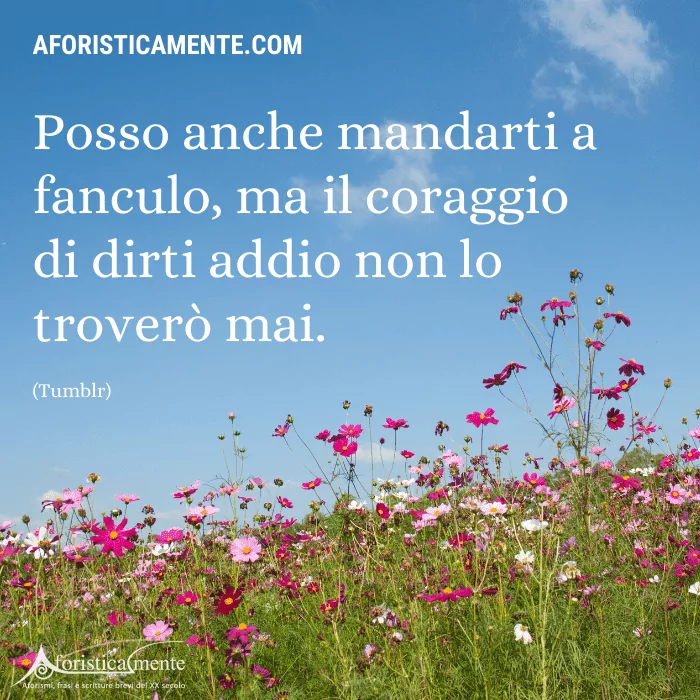 Frasi e immagini corte di Tumblr