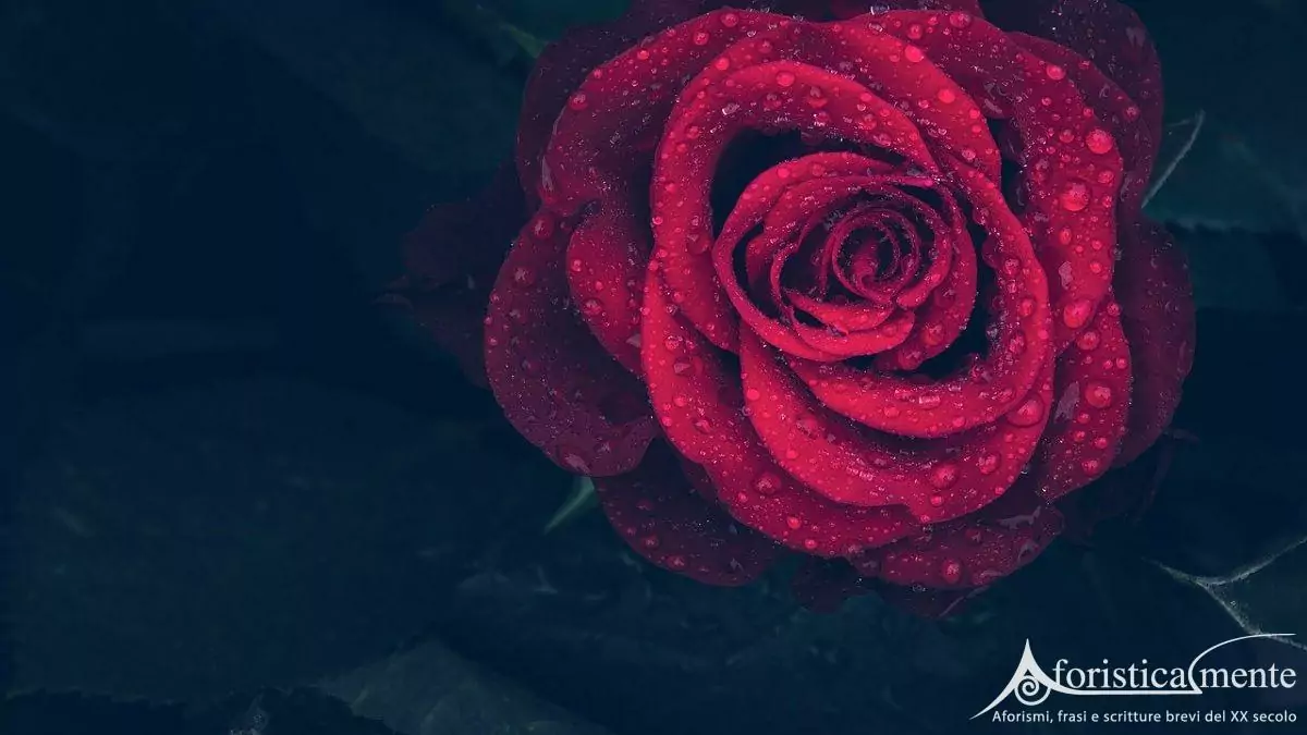 Frasi dolci e romantiche - Aforisticamente